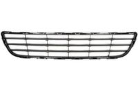 Ventilatiegrille, bumper 6502076815910P