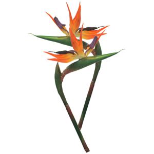 Kunstbloem Strelitzia/Paradijsvogelplant - 2x - 84 cm - losse steel - kunst zijdebloem