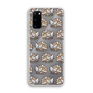 Slapende poes: Samsung Galaxy S20 Transparant Hoesje