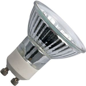 Rittz 220v-50w Spare bulb L54