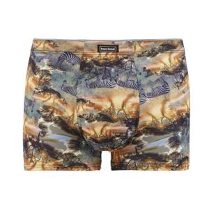 Bruno Banani Golden Africa Short