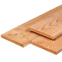 Plank douglas 2,2x20,0x500 cm Tuindeco - Tuindeco