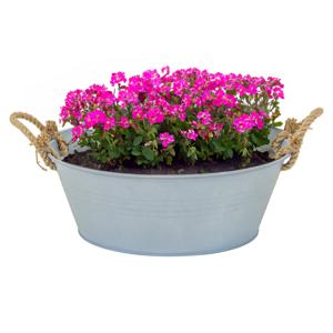 Mega Collections teil/plantenpot Old Rope - zink - zilver - D40 X H14 cm - IJzeren emmer / teil