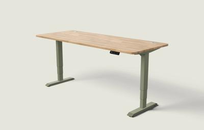 Desktronic HomePro bureau - Olijfgroen / Massief Eiken / 200x80 cm