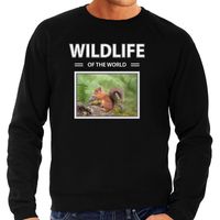 Eekhoorn sweater / trui met dieren foto wildlife of the world zwart voor heren