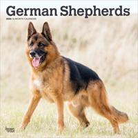 Duitse Herder Kalender 2026