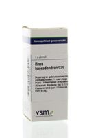 VSM Rhus toxicodendron C30 (4 gr)