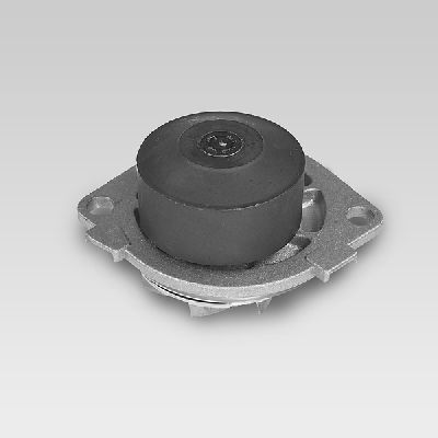 Waterpomp P1041