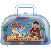 Manetico Starter Box Bouwsteen