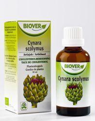 Biover Cynara scolymus tinctuur bio (50 ml)