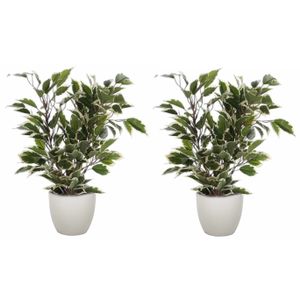 2x stuks groen/witte ficus kunstplant 40 cm met plantenpot taupe D13.5 en H12.5 cm