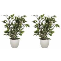 2x stuks groen/witte ficus kunstplant 40 cm met plantenpot taupe D13.5 en H12.5 cm