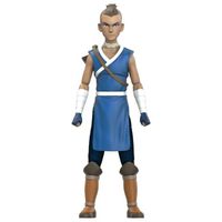 Avatar: The Last Airbender - Sokka 5 inch BST AXN Figure
