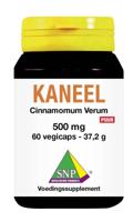 SNP Kaneel Cinnamomum verum 500mg puur