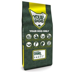 Yourdog Pont audemer spani�l senior