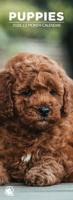 Puppies Slimline Kalender 2026