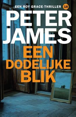 Een dodelijke blik - Peter James - ebook