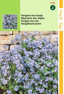 Myosotis Alpestris Blauw - Hortitops