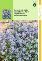 Myosotis Alpestris Blauw - Hortitops
