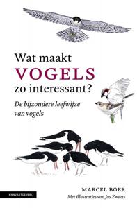 Wat maakt vogels zo interessant (Paperback)