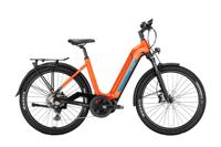 VICTORIA Ebike vict.avyon 6 58/56 wave 10sp squirrel orange