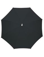 Printwear SC26 Automatik Stick Umbrella ´Spring´ - thumbnail