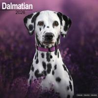 Dalmatier Kalender 2026