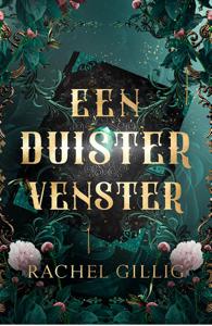 Een duister venster - Rachel Gillig - ebook