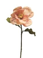 Magnolia Alice roze 66cm