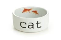 Beeztees Beeztees Snapshot Kattenvoerbak Keramiek (300 ml)