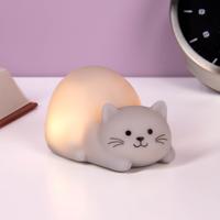 Mini kat nachtlampje