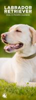 Labrador Retriever Slimline Kalender 2026