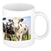 Dieren foto mok koe - Nederlandse koeien beker wit 300 ml - thumbnail