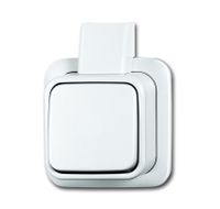Wisselschakelaar opbouw wit 2601 6 APJW BJ