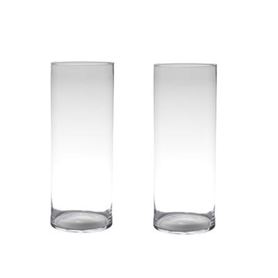 Hakbijl Glass bloemenvaas cylinder model - Set van 2x stuks - glas - H50 x D19 cm - transparant Hakbijl Glass bloemenvaas cylinder model - Set van 2x stuks - glas - H50 x D19 cm - transparant