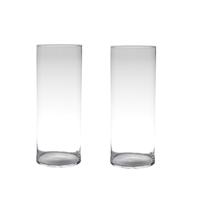Hakbijl Glass bloemenvaas cylinder model - Set van 2x stuks - glas - H50 x D19 cm - transparant