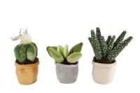 Take Me Home plant pluche S 3ass 12-17 cm