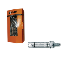 pgb-Europe SMART | Keilbout SMART+ankerstang M8x20x75 Zn | 25 st SM000K001080075E