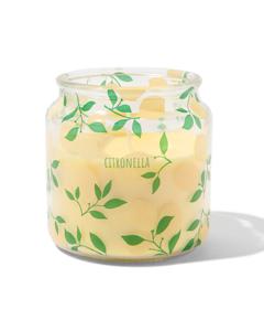 HEMA Citronella Geurkaars In Glas Met Ø10x10