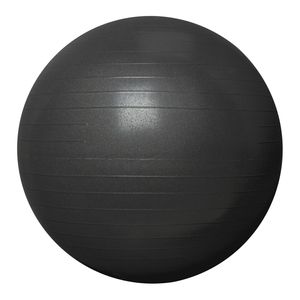 RYZOR Fitness/gym bal - 75 CM - Zwart