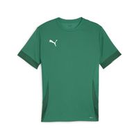 PUMA teamGOAL Matchday Voetbalshirt Groen Wit