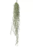 Kunst hangplant tillandsia grs l75cm hder - thumbnail