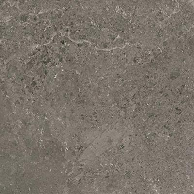 Serenissima Concreta 1081505 Vloertegel 1000X1000 Antracite 8,5Mm Mat Ret.R10