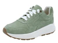 Xsensible Golden Gate