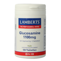 Glucosamine 1100 120 Tabletten