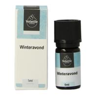 Volatile Winteravond