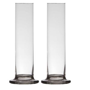 2x stuks luxe stijlvolle 1 bloem vaas/vazen 25 x 6 cm transparant glas - Vazen