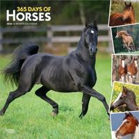 I Love Horses 366 Days Kalender 2026