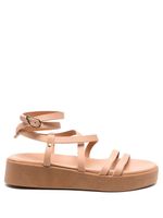 Ancient Greek Sandals Aristea buckle-fastened sandals - Tons neutres - thumbnail