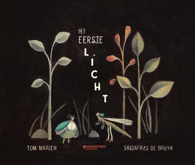 Het eerste licht (Hardback)